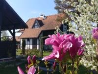 Dabki Village - B&B