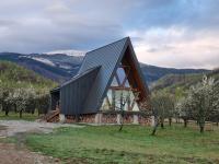 Cabana A-frame Dor de Hateg - Bed and Breakfast