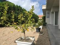 Villa Kaila - B&B Montallegro