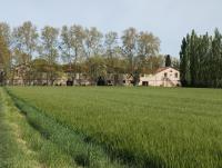 La cave de Grand Cabane - B&B Fourques