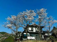 B&B Yufu - 湯布院我楽珍民泊Yufuin Garakuchin - Bed and Breakfast Yufu