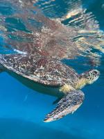 Kaz à Marga - B&B Village