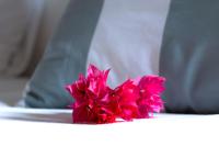 Deluxe Suite mit Whirlpool-Badewanne