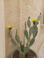 All'1 di Rajno' Relaxing ApartHotel - B&B Lecce