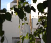 Apartment - Erdgeschoss
