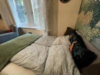 Brody Str 13 Studios - B&B Budapest