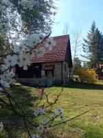 B&B Zlatibor - Brvnara Rustik - Bed and Breakfast Zlatibor