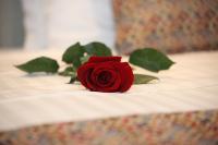 IPELHOME-Avissinias Boutique Apartments - Bed and Breakfast Athene