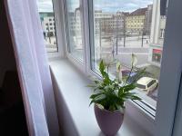 Perla Hradce 202 - Ferienwohnung Königgrätz