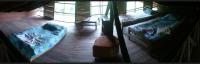 Bed in 6-Bed Dormitory Room