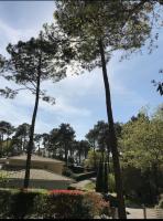 Villa DUNE - Ferienwohnung