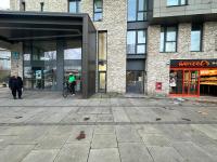 Peaceful shared flat 30mins Central London - Ferienwohnung