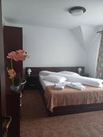 Pensiunea Magura Ocnei - B&B Târgu Ocna