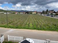 Au petit Logelbach - B&B Wintzenheim