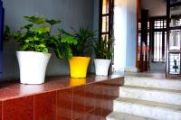 Darjeeling Homes - B&B