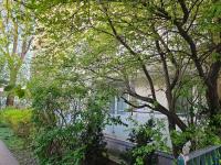 Maison Brühl - Apartamenty przy Ogrodzie Saskim - B&B