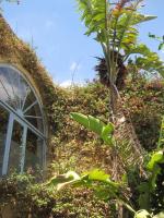 Bebbux Farmhouse - B&B Munxar