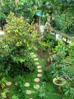 Jungle Joglo - B&B
