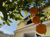 Villa Medusa - B&B Tre Fontane