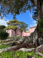 Solar dos Cantos Botanic House & Garden - B&B