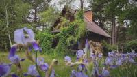 Przytulia - chata na bezdrożach Roztocza - B&B