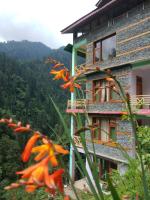 B&B Jābo - The Forest Pinnacle and Café, Jibhi - Bed and Breakfast Jābo