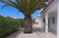 Casa Flora - Vale da Telha - Nature - Surf & Sun - B&B Aljezur