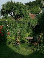 Charmantes Zimmer mit Bad im Stadtzentrum - B&B