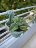 Northwest Hostings 201 - Bed and Breakfast Cartagena