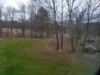 Welcome to Osborne Creek! - B&B