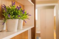 UPOINT Floors - B&B
