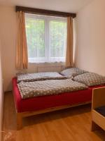 One-Bedroom Apartment - Non-Smoking