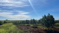 Ecolodge Vert, Benslimane - B&B