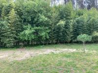 Villa au cœur des Landes - B&B Soustons