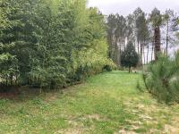 Villa au cœur des Landes - B&B Soustons