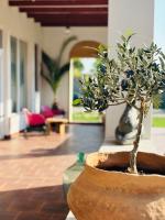 Elma Guesthouse - B&B