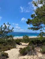 Luxury villa between Nature and the beach - B&B Amora