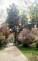 The House in The Park Bucharest - B&B