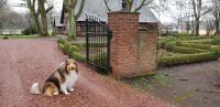 Münsterland Cottage - Chambres d'hôtes Lengerich