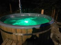 Woodland house ** - B&B Sântimbru-Băi