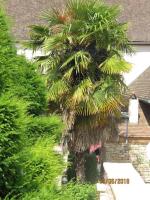 LA CONFRERIE à MEURSAULT au CŒUR DE LA BOURGOGNE - B&B