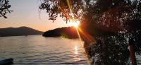 B&B Tivat - Apartment Kjara - Bed and Breakfast Tivat