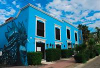 B&B Todos Santos - Gallo Azul, Downtown Loft Style Apartment - Bed and Breakfast Todos Santos