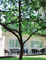 Bravo Plus - B&B Budva