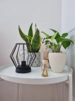 Apartment with Mountain View