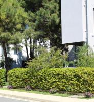 Vala Mar Apartament - Ferienwohnung Durrës