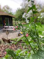Eco Villa Beleef, met vaste wisseldagen - Bed and Breakfast Noordwolde