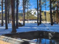 Lazy Fox Lodge in National Forest View - Bed and Breakfast