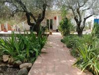 Casa vacanze l'ulivo - B&B