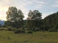 Cabaña Kallfü Mahuida - B&B Panguipulli